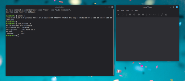 Linux Mint 22.2. Вход по отпечатку пальца, заметки на Android, металлический серый Linux Mint 22.2. Вход по отпечатку пальца, заметки на Android, металлический серый